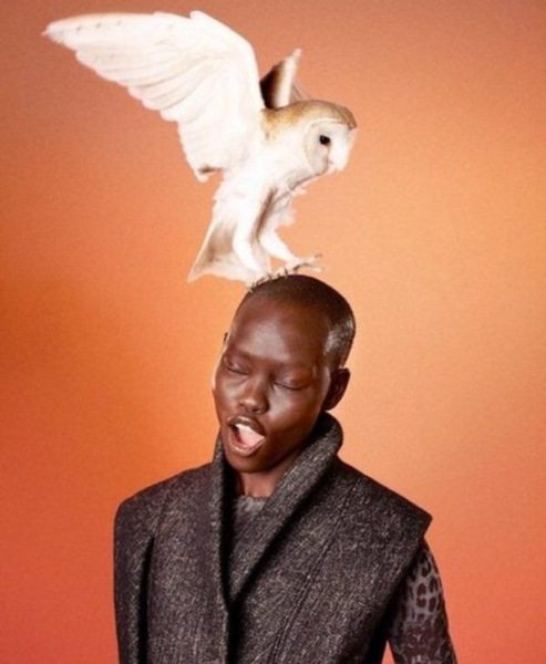 KAMPANIA „BIRD OF PREY” EDUN NA JESIEŃ ZIMĘ 2012
